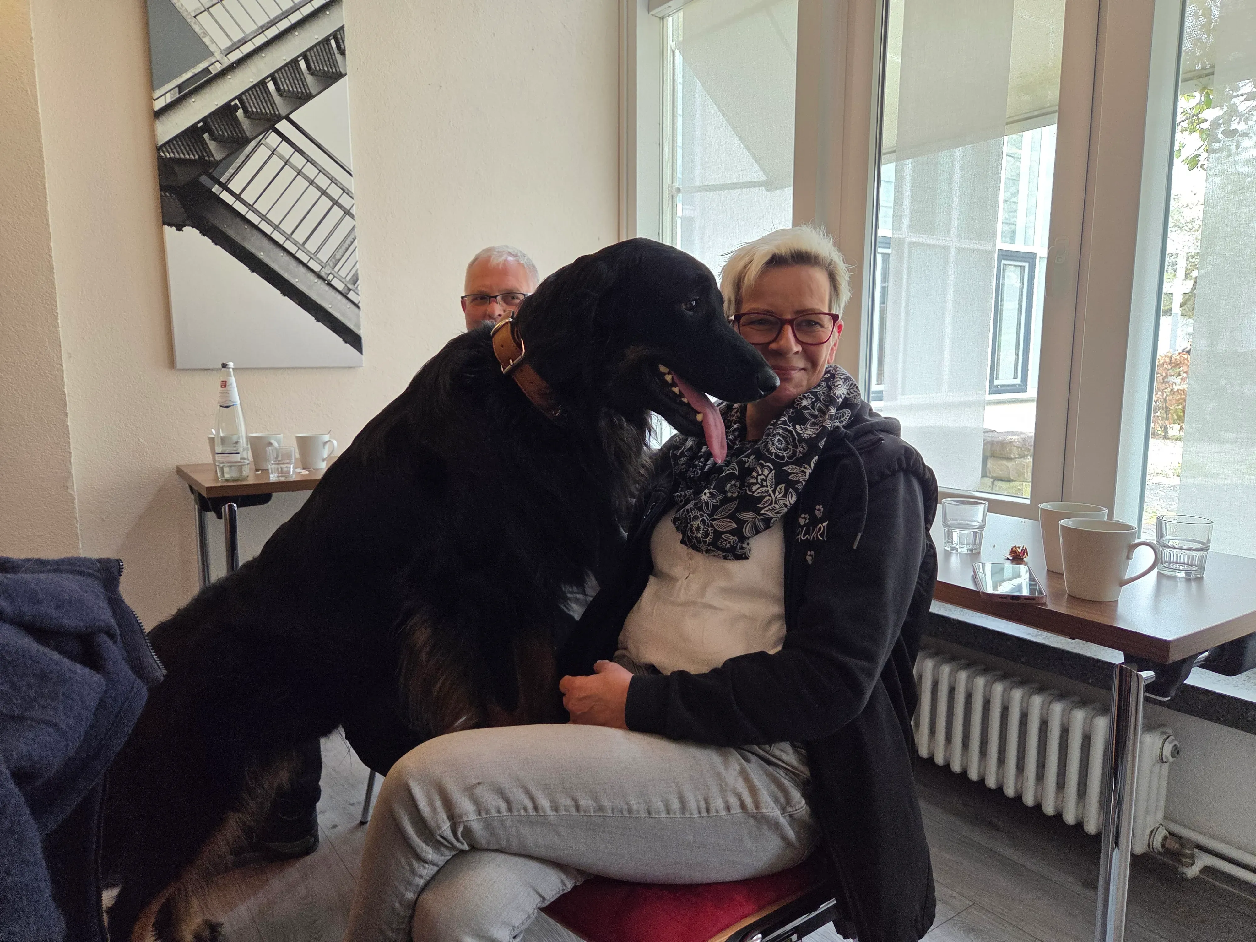 Gallerie Bild