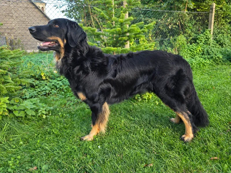 Alma von der Kohlenbahn
