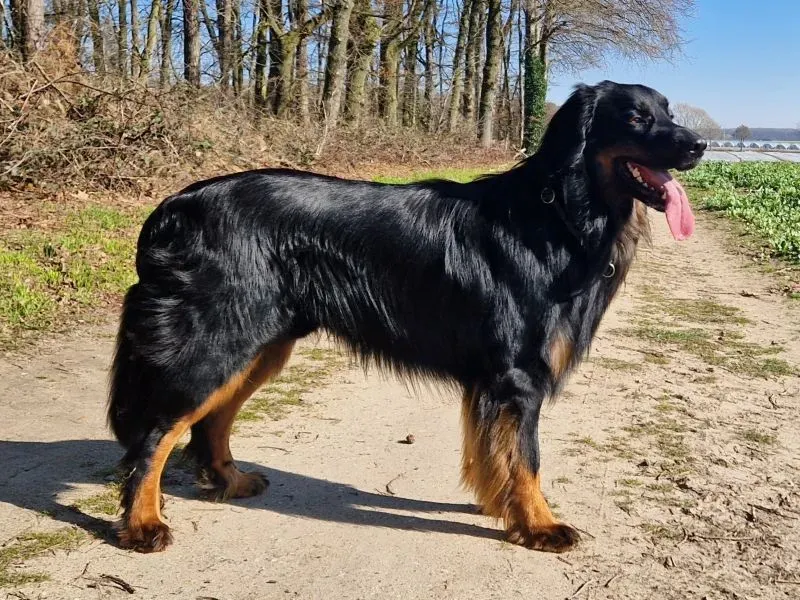 Bjorge von der Dagny Deike