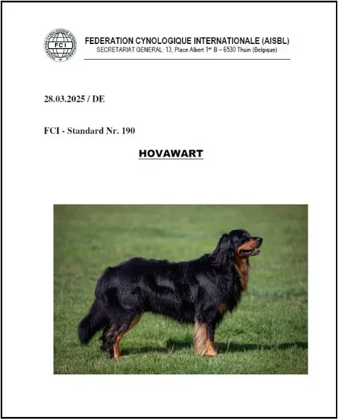 Der Rassestandard