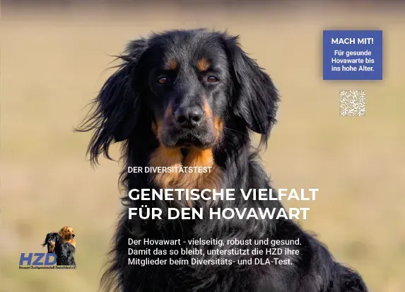 Flyer seiten 1.webp