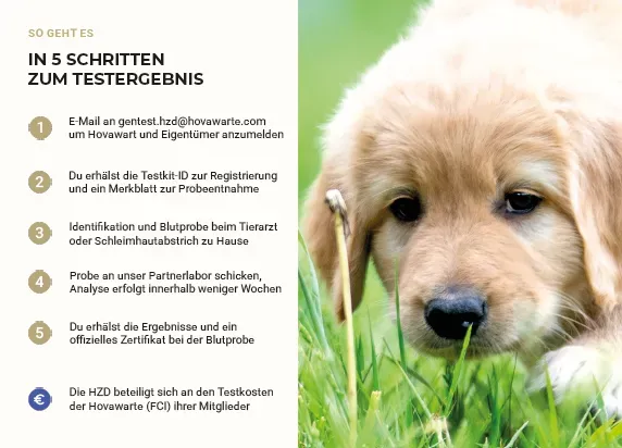 Flyer seiten 3.webp