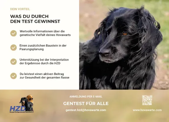 Flyer seiten 4.webp