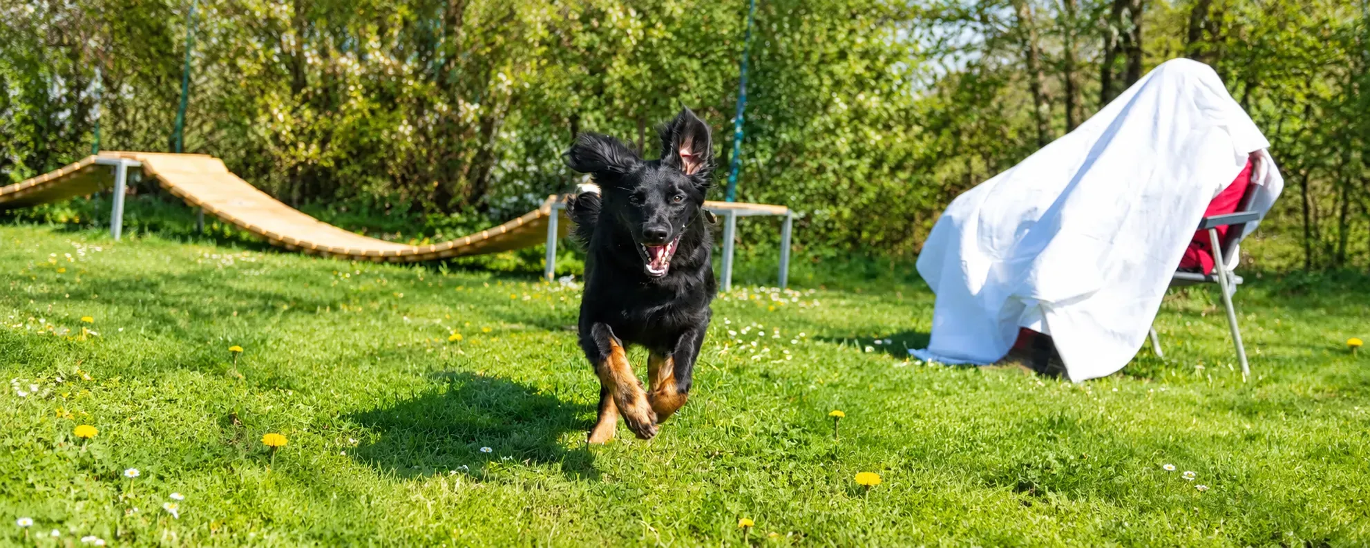 Hero Bild