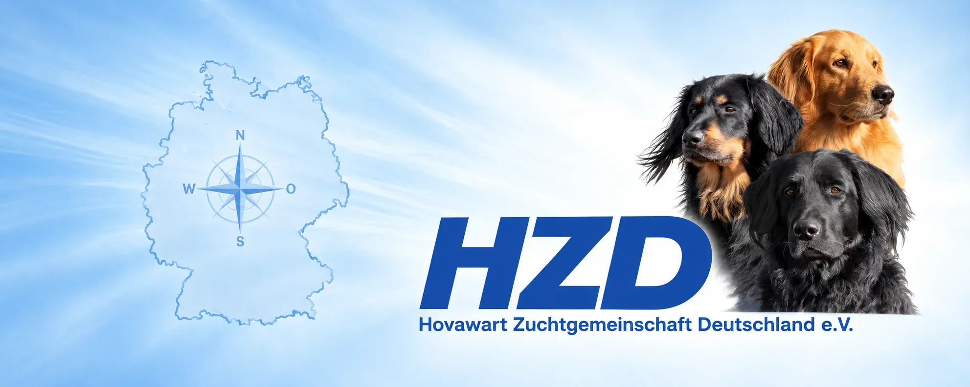 Hero Bild