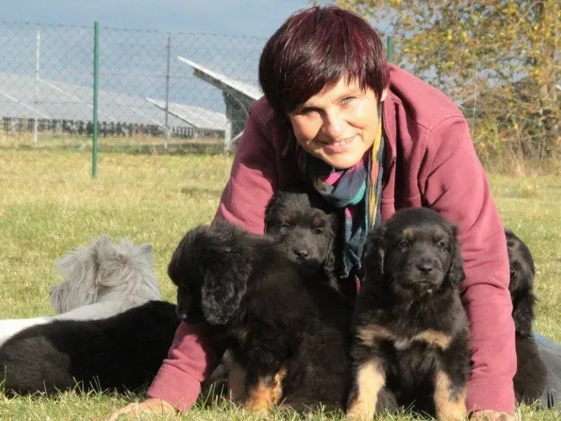 Sabine Domnik