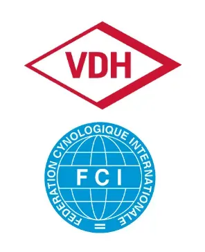 VDH-FCI-Logos.webp